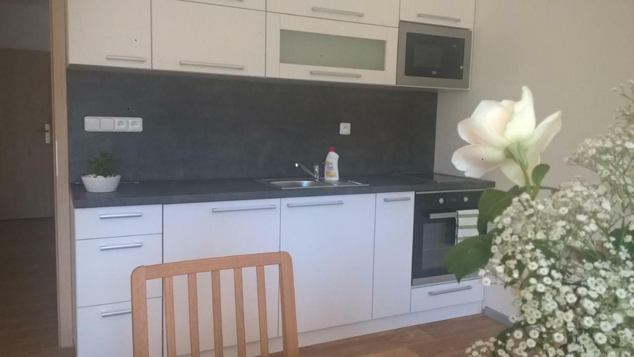 Apartman Nad Terasou Říčky Eksteriør billede